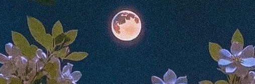 CesiaBeleen's profile banner image