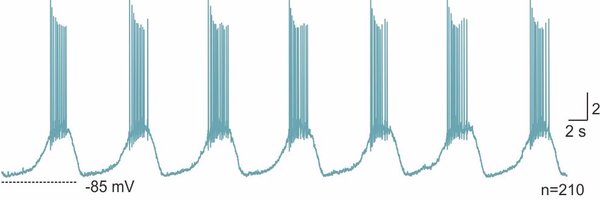 CBroberger Profile Banner