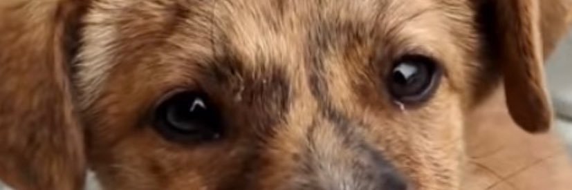 kendrickchien's profile banner image
