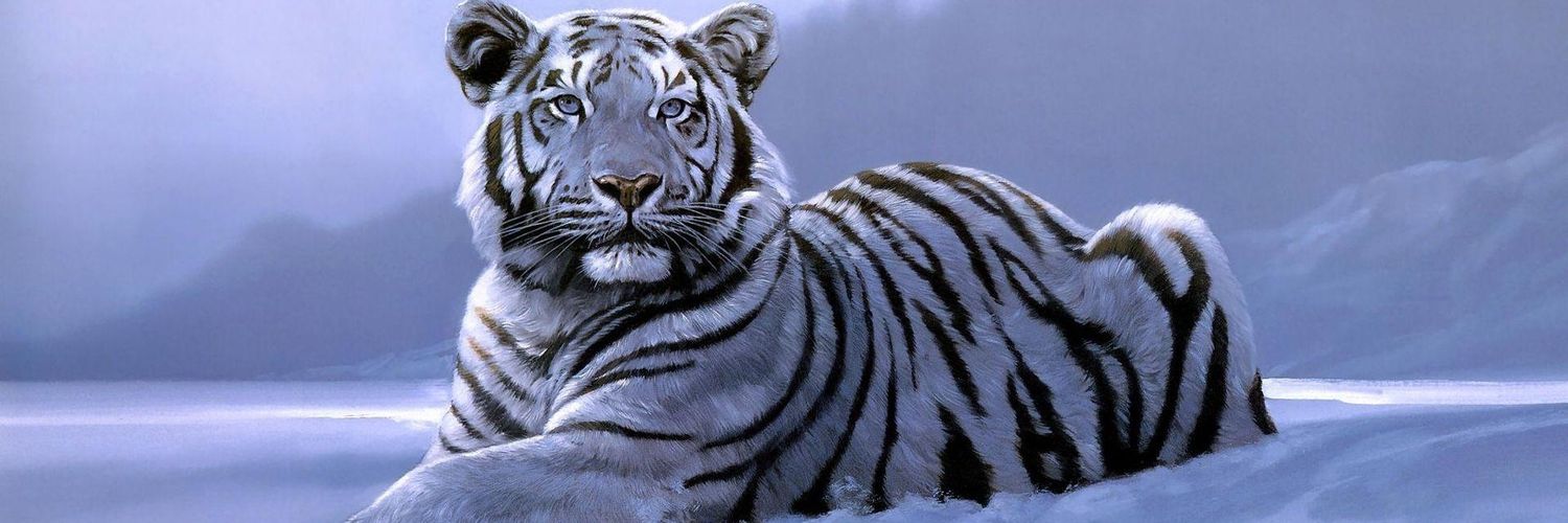 JeffreySchaper's profile banner image