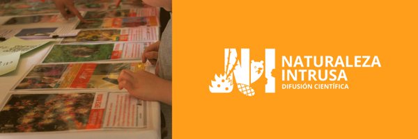 Nat_Intrusa Profile Banner