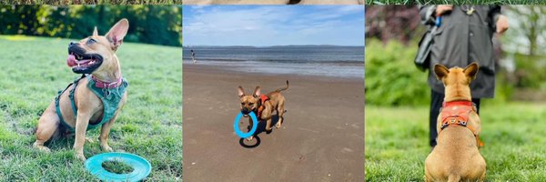 caspararemi Profile Banner