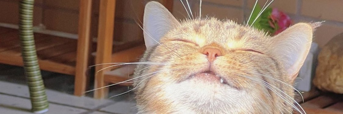 bazikelimelerr's profile banner image