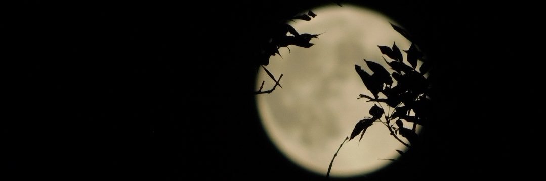 luisn583's profile banner image