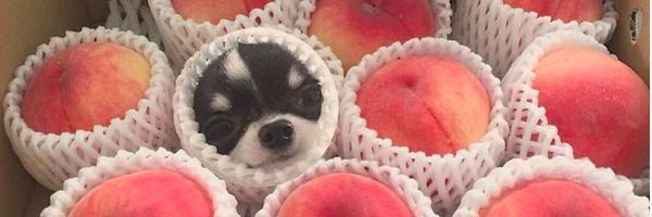 TraaViiz's profile banner image
