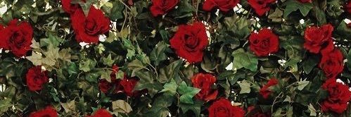 سُول. banner