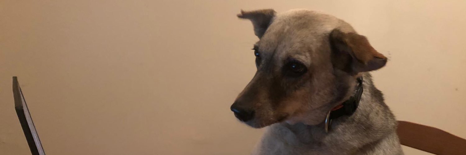 daficca's profile banner image
