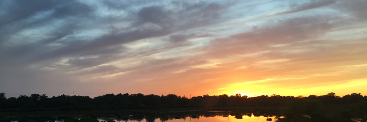 realPeachi's profile banner image
