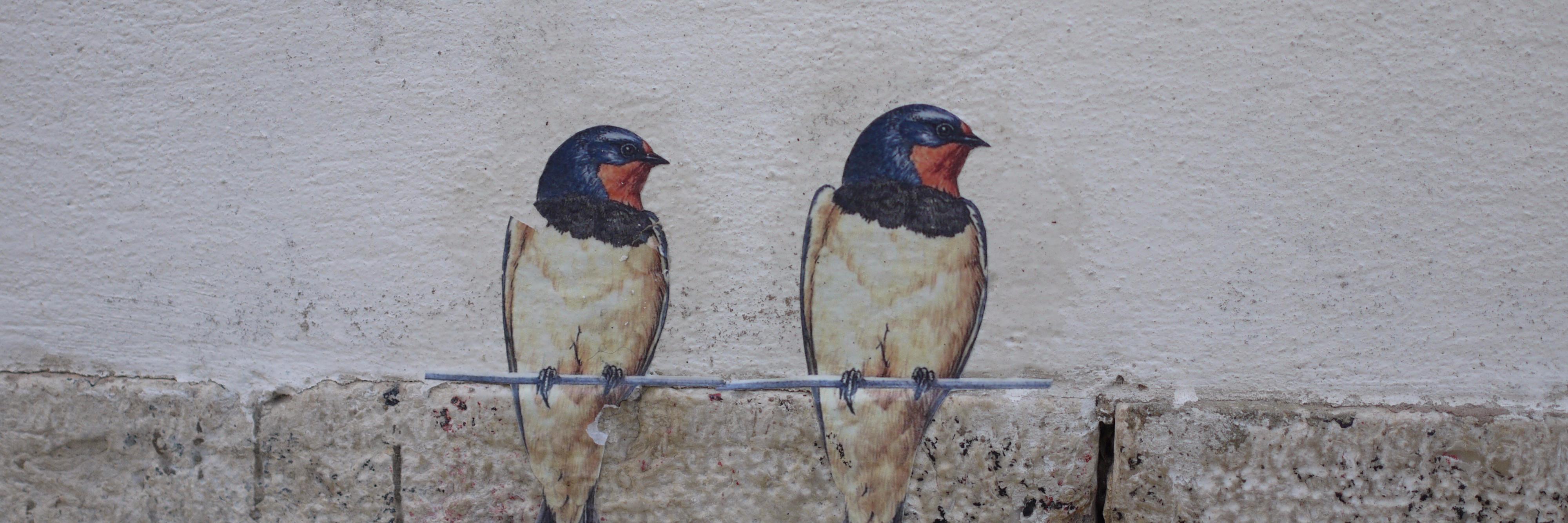 Tamer El-Hawari banner