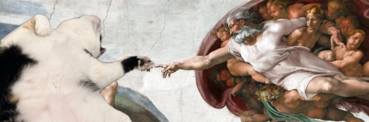 giovanababie's profile banner image