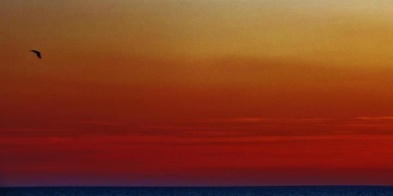 amayc's profile banner image