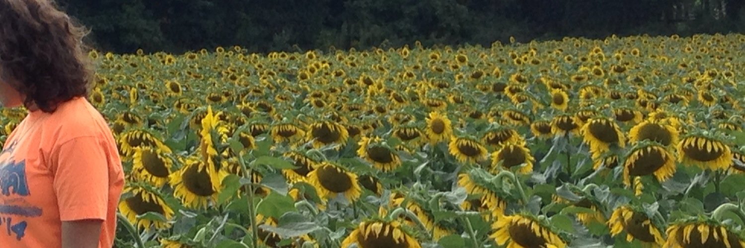 ElectOhio's profile banner image