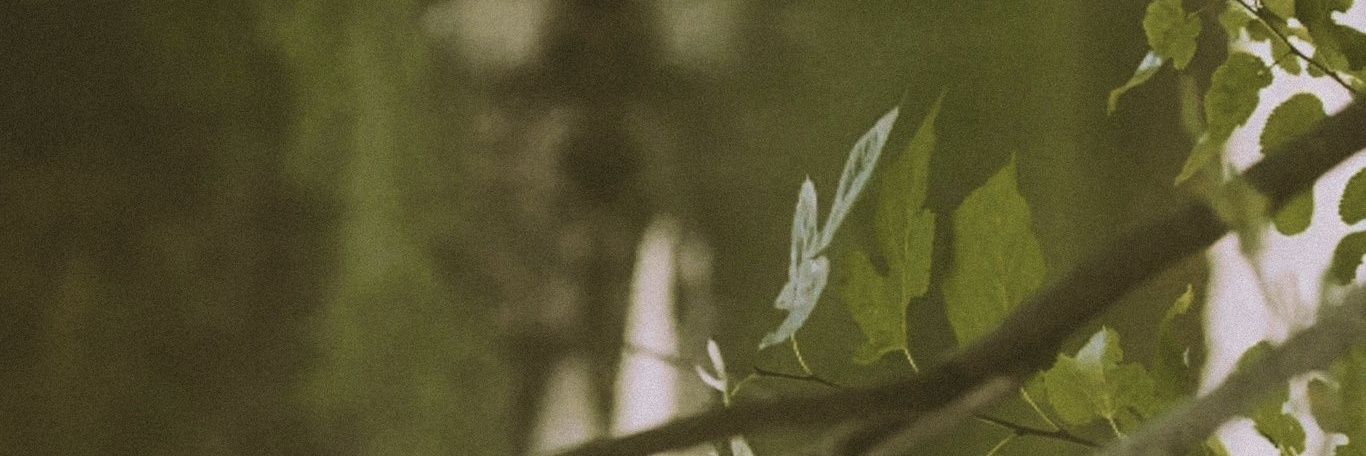 𖧷 : cyncⱺstαn ?! banner