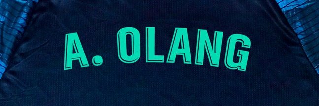 Owaa Olang banner