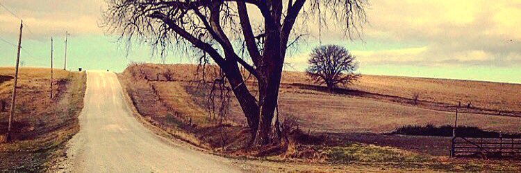 hailey_teal's profile banner image