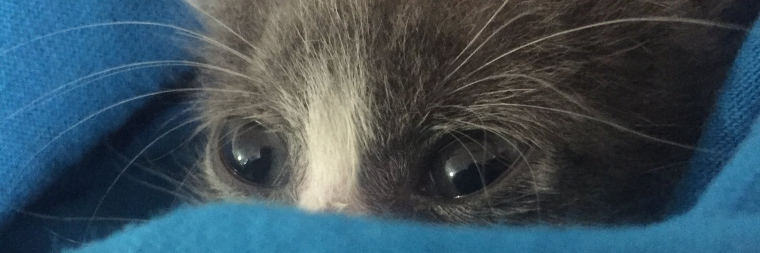 eacevesx's profile banner image