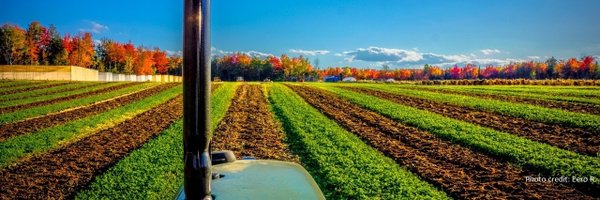 NECoverCrops Profile Banner