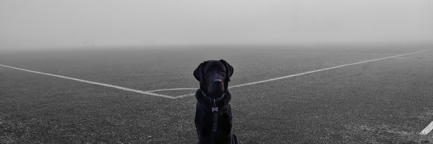Ilfeldt's profile banner image