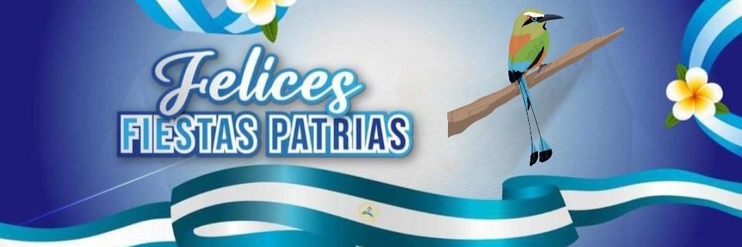 Mariposa Rojinegra 🇳🇮 🦋❤🖤🦋 🇳🇮 banner