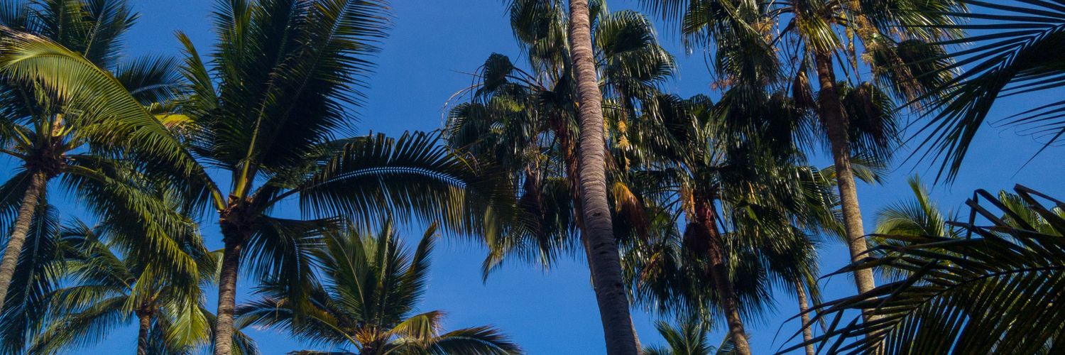 jenette_5's profile banner image