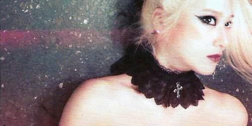 sjkrysse's profile banner image