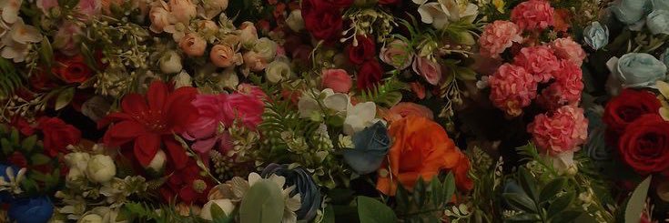 MaiaDci's profile banner image