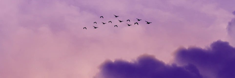 ttkh_catts's profile banner image