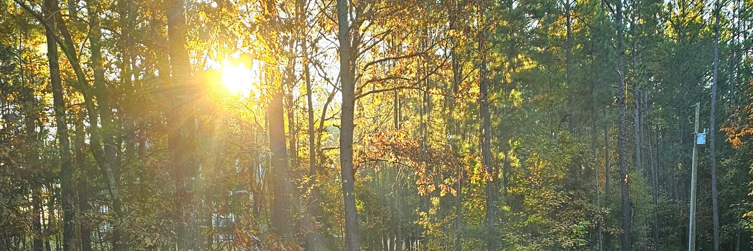 JenTastic44's profile banner image