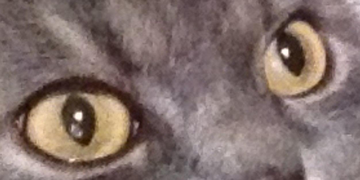 ⚓️_BeaBianca24 banner