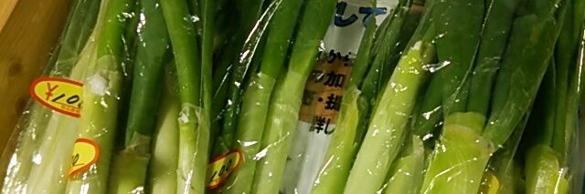 ねぎみそ banner