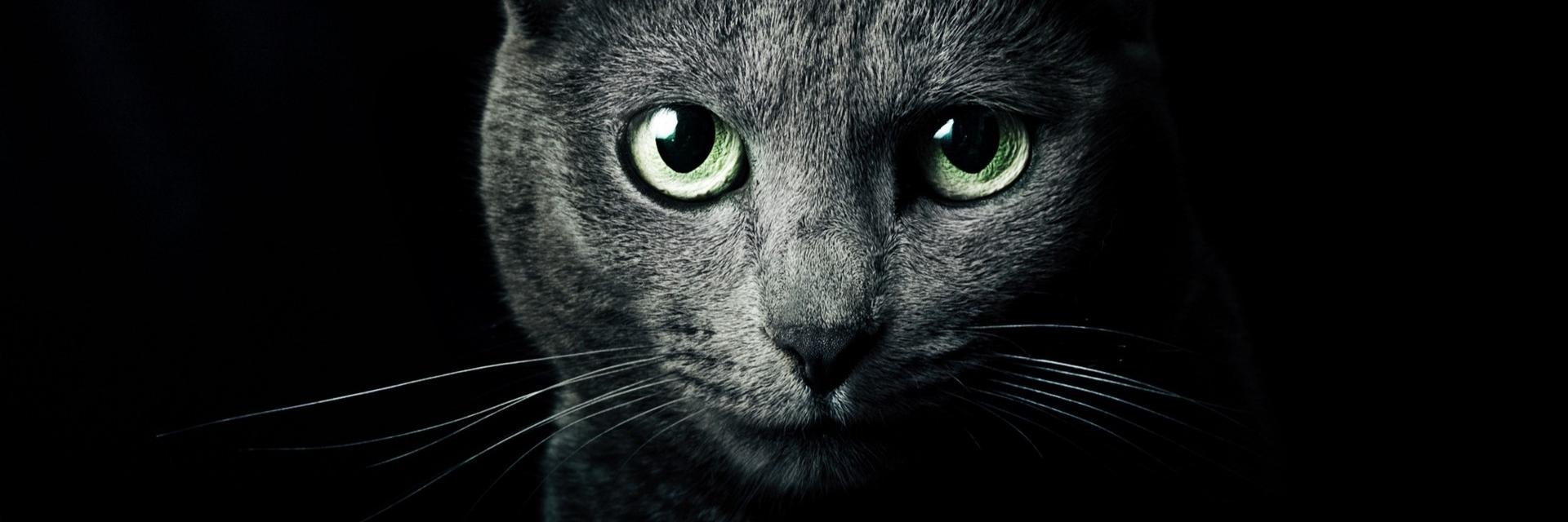 mierarethwan's profile banner image