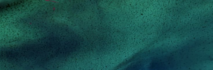 itsjustghost banner