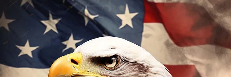 CatDaddyLurk's profile banner image