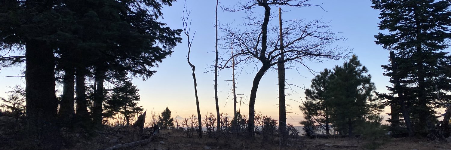 mnruiz's profile banner image