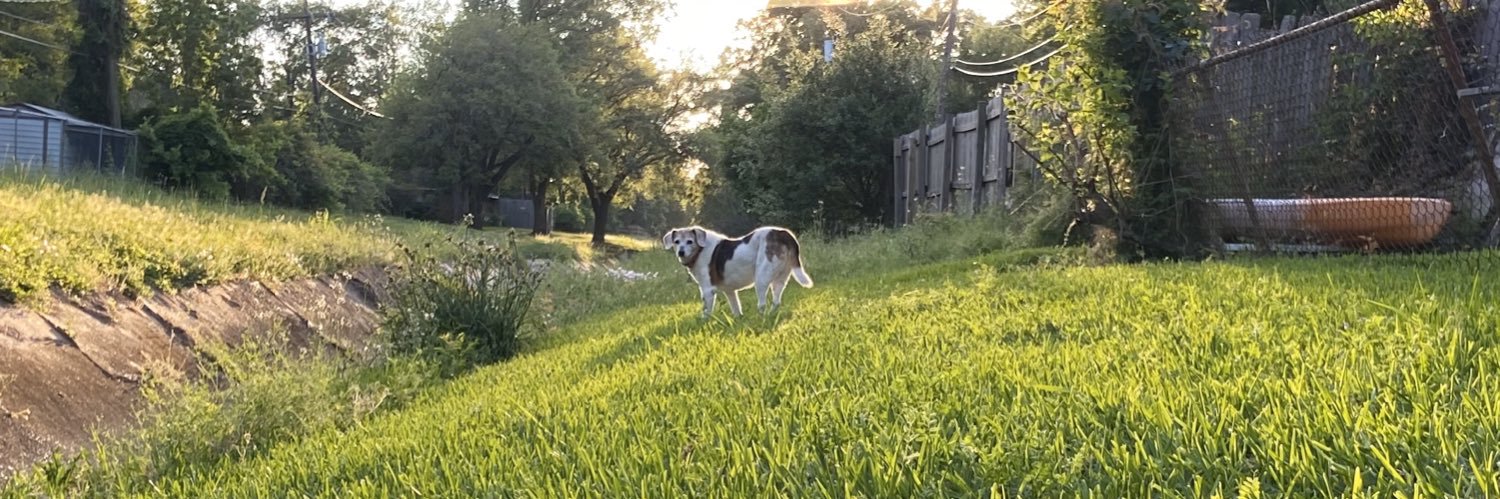 NateGonz0's profile banner image