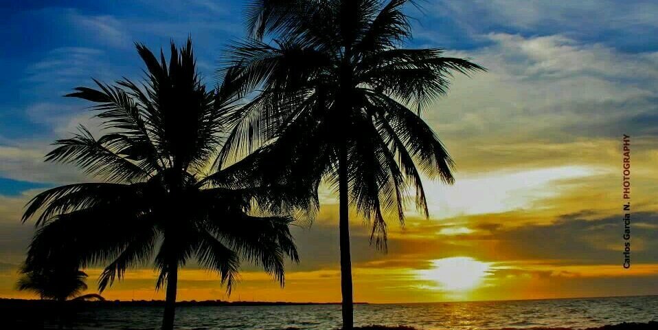 cgnphotography's profile banner image
