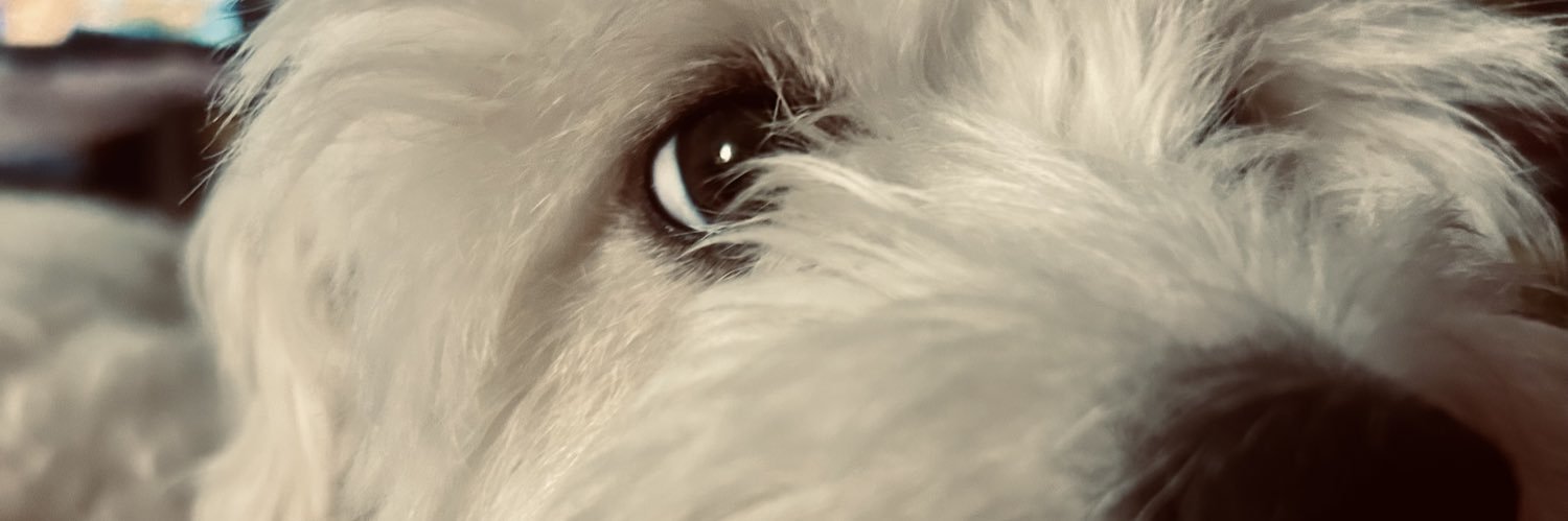 Agusgonzalez16's profile banner image