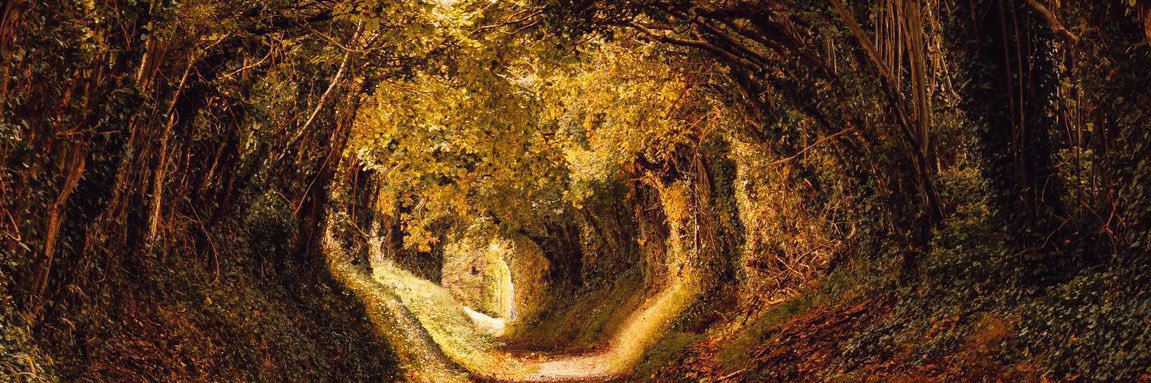 Tasneem Chopra OAM banner