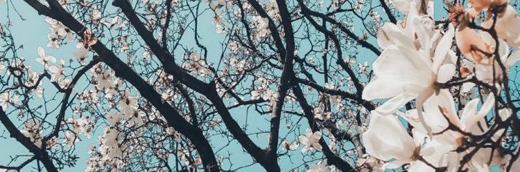 MissMaryKate's profile banner image