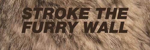 FancyCarrots's profile banner image