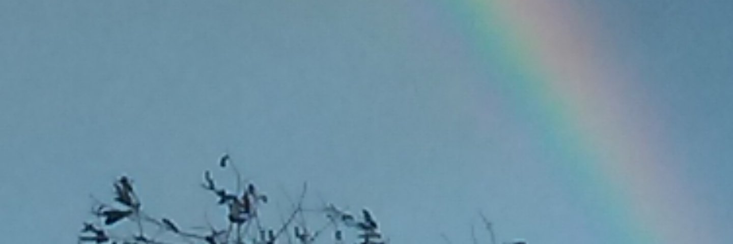 Cher2 banner