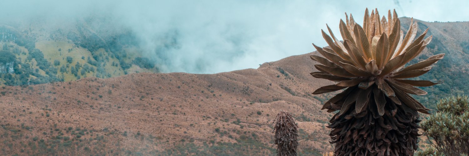 Merylu_ma's profile banner image