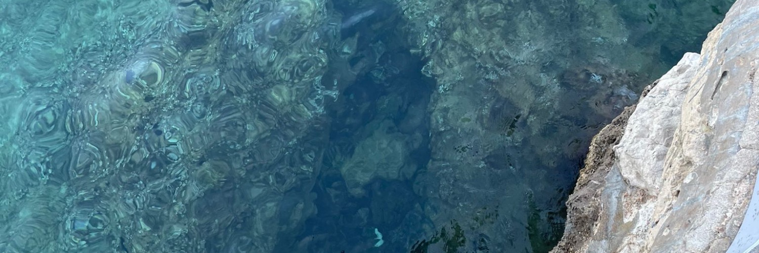 anabellvs1's profile banner image