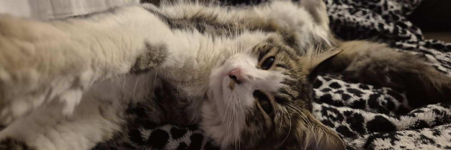 CDerluk's profile banner image