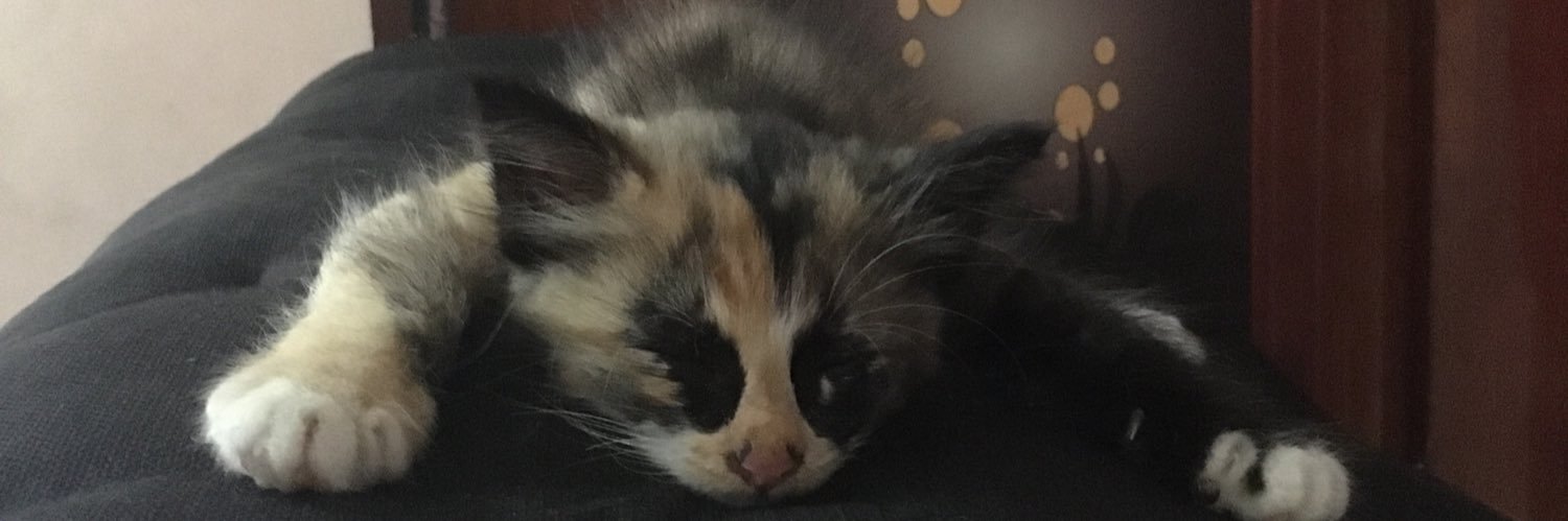 Syaa ❤️‍🔥 banner