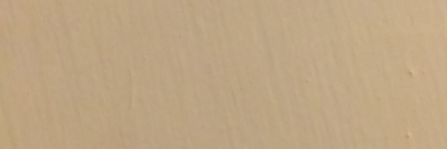 elrulas0's profile banner image