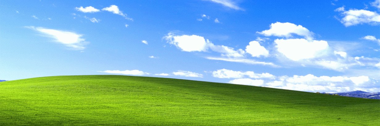 ..Punkt banner