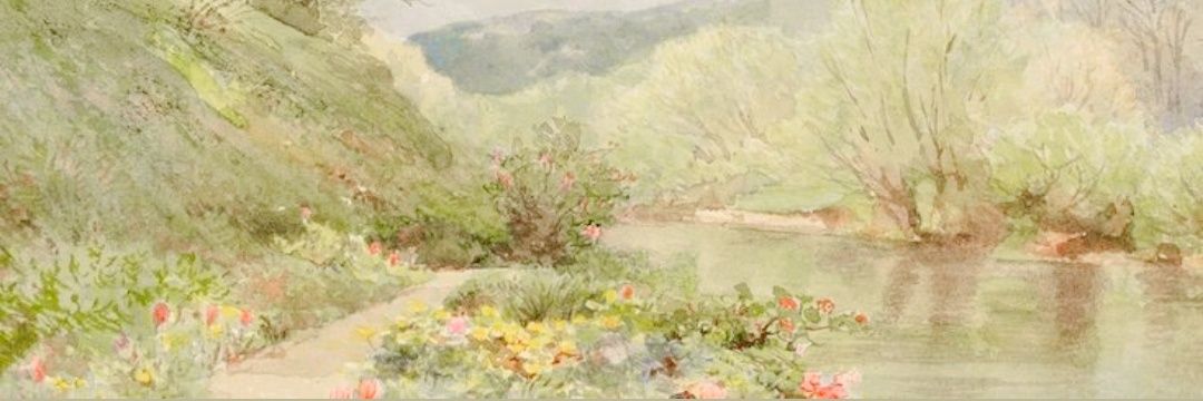 JxonAnn's profile banner image