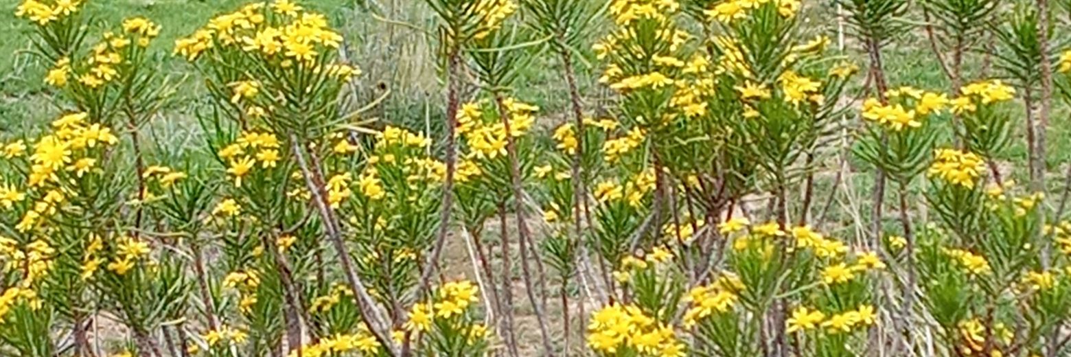 HalimahMahmud2's profile banner image