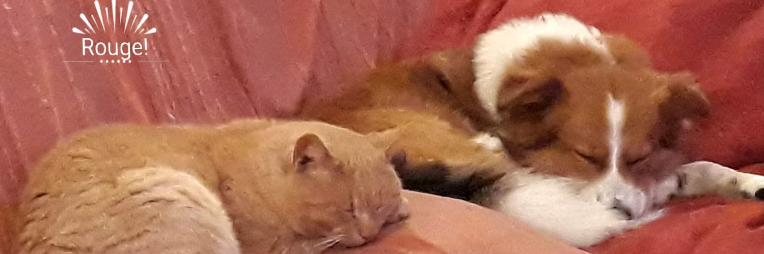 FataTurchina #OndaCivica🌊#USofEurope#FBPE🇪🇺🌍 banner